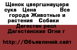 Щенок цвергшнауцера сука › Цена ­ 25 000 - Все города Животные и растения » Собаки   . Дагестан респ.,Дагестанские Огни г.